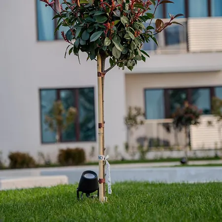 Апартаменти Skyline 11 - Sea Views & Serenity By The Coast Варна